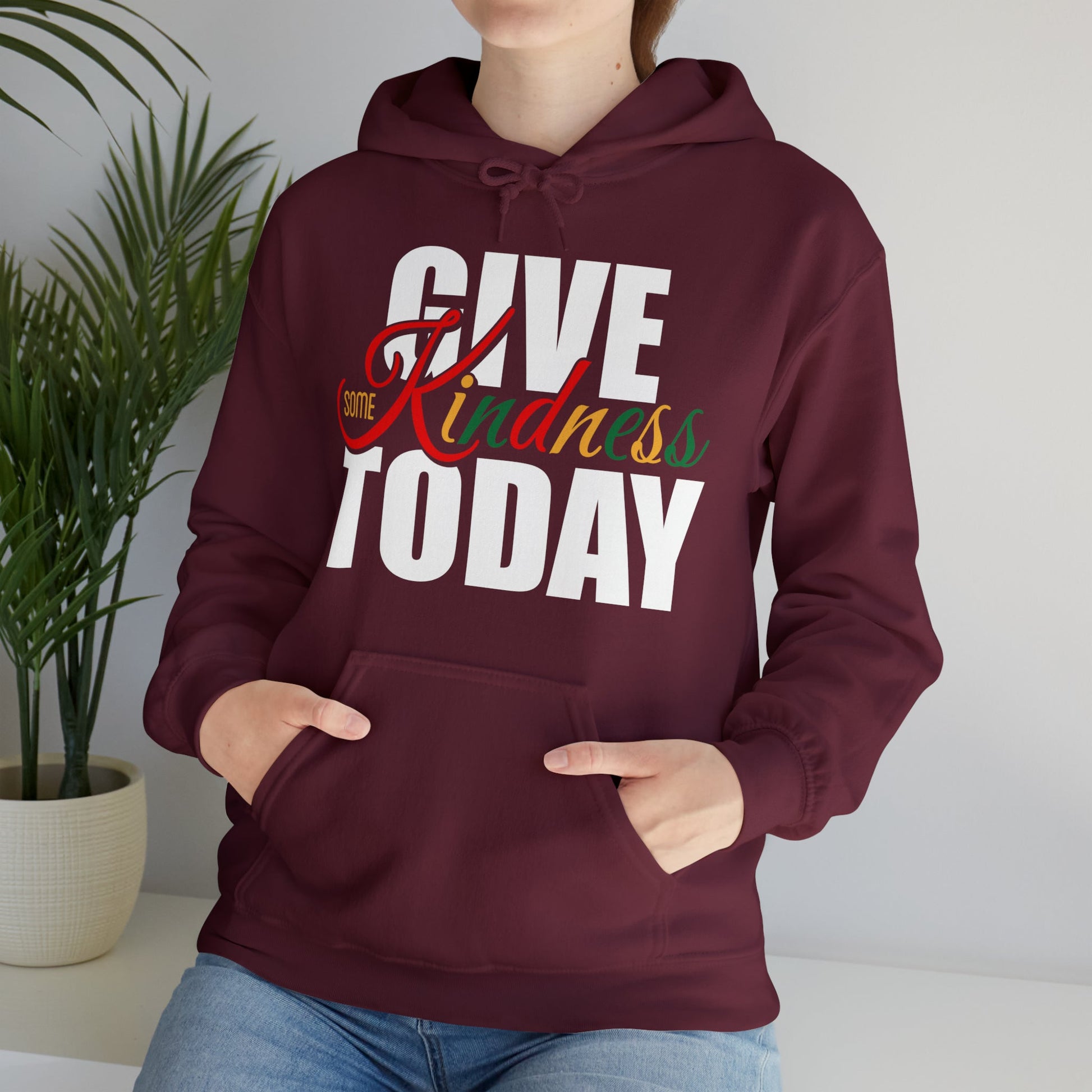 Hoodie - Cozy Just Got Kind Holiday Hoodie